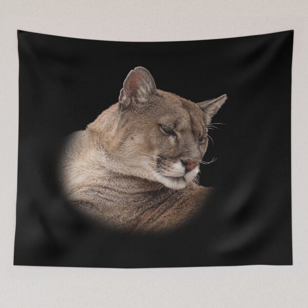 Item preview, Mountain Lion designed and sold by Guardi71.