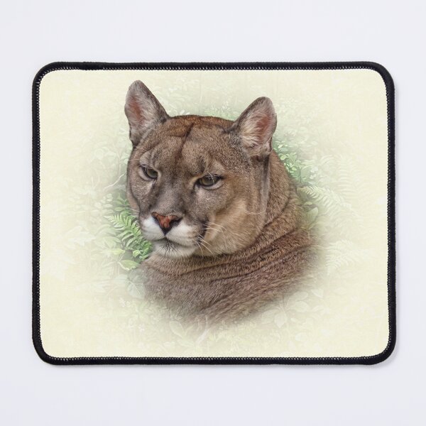 Item preview, Mountain Lion designed and sold by Guardi71.