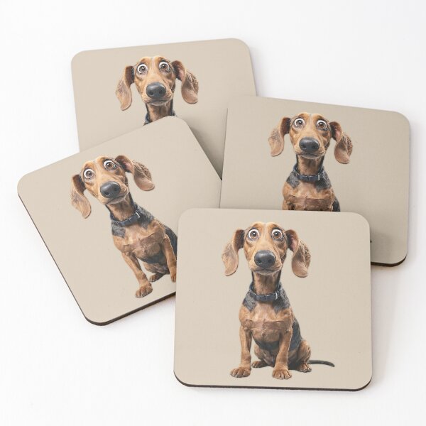 Item preview, ANIMAL designed and sold by myStudioVisual.