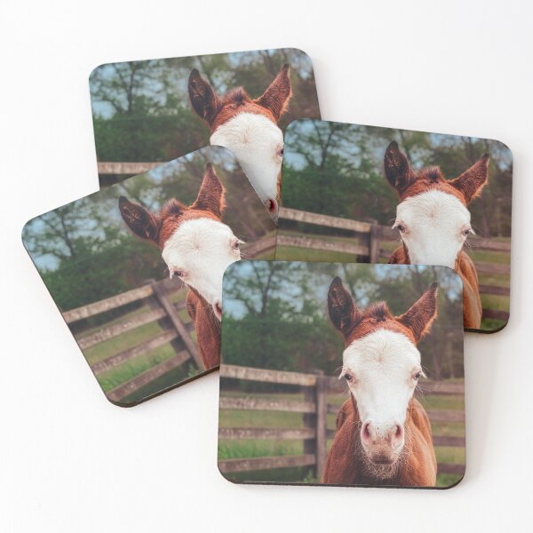 Item preview, Adorably Curious designed and sold by Jim Love.