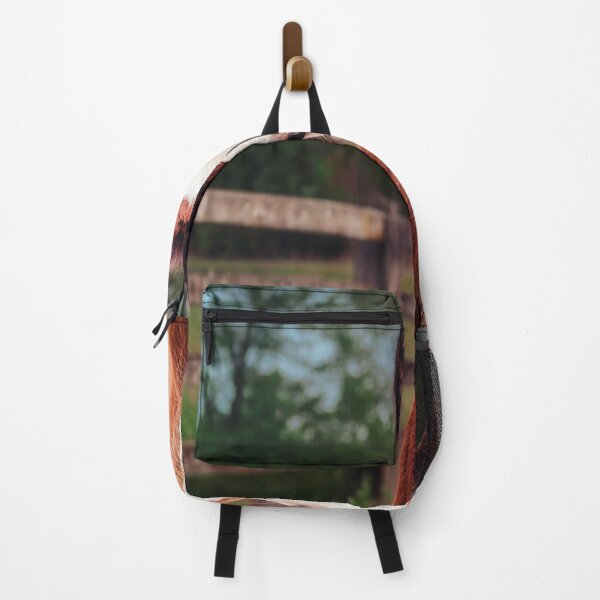 Item preview, Adorably Curious designed and sold by Jim Love.
