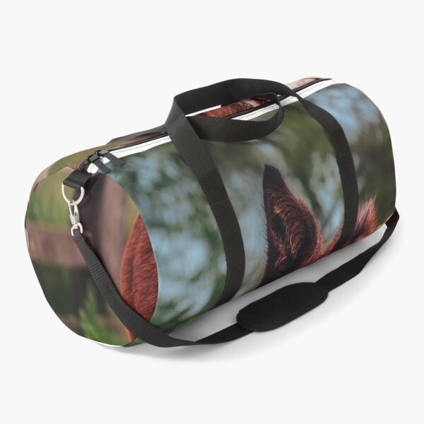 Item preview, Adorably Curious designed and sold by Jim Love.