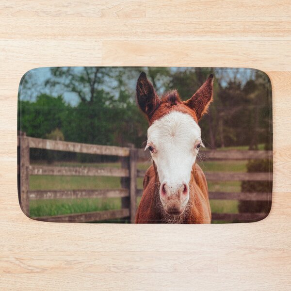 Item preview, Adorably Curious designed and sold by Jim Love.