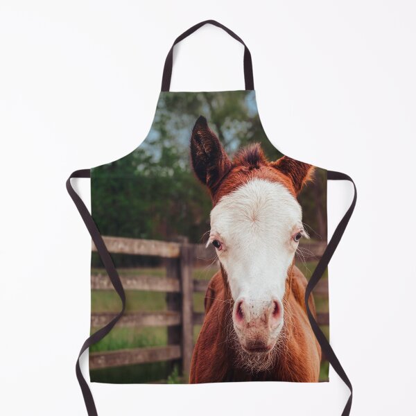 Item preview, Adorably Curious designed and sold by Jim Love.