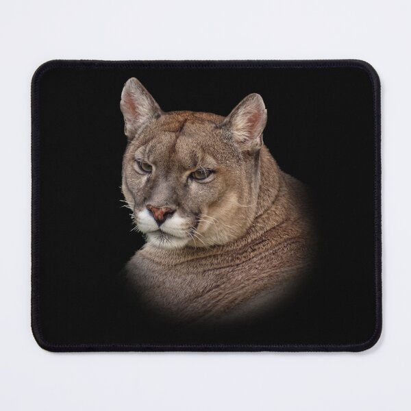 Item preview, Mountain Lion designed and sold by Guardi71.