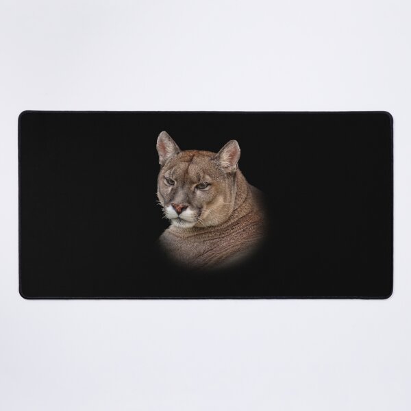 Item preview, Mountain Lion designed and sold by Guardi71.