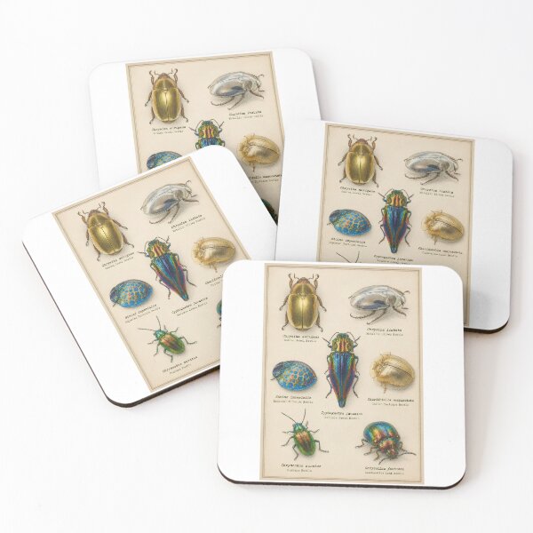 Item preview, Vintage Metallic Beetles Scientific Illustration | Colorful Jewel Beetle Entomology Chart designed and sold by Extravanganzza.