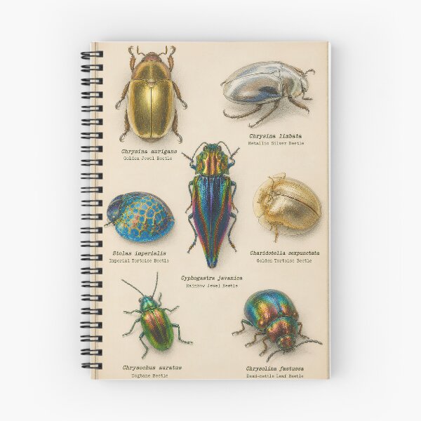 Item preview, Vintage Metallic Beetles Scientific Illustration | Colorful Jewel Beetle Entomology Chart designed and sold by Extravanganzza.