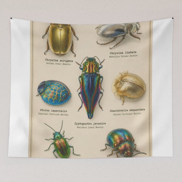Item preview, Vintage Metallic Beetles Scientific Illustration | Colorful Jewel Beetle Entomology Chart designed and sold by Extravanganzza.
