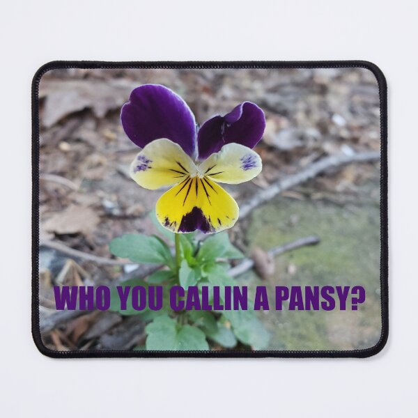 Item preview, Thug Pansy (Who You Callin a Pansy?) designed and sold by concretebotany.