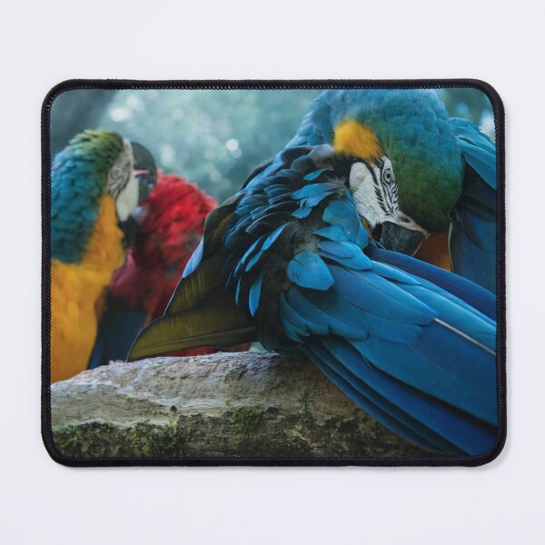 Item preview, Blue Souls of the Rainforest - Macaws designed and sold by JulioGStudio.