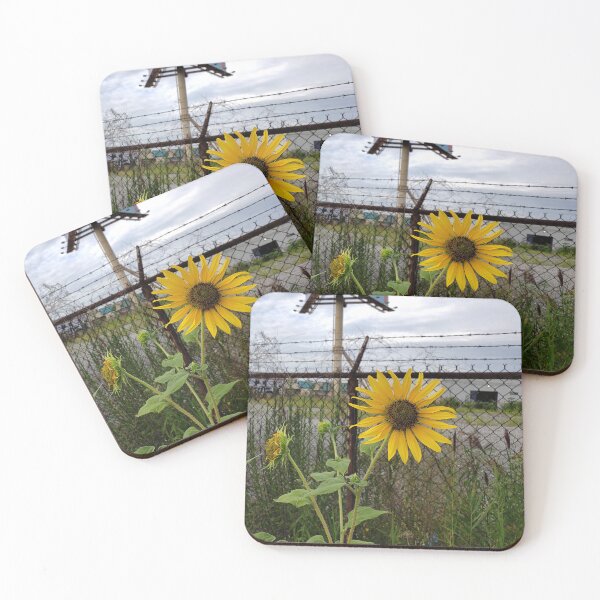 Item preview, Sunflower and Barbed Wire Fencing designed and sold by concretebotany.
