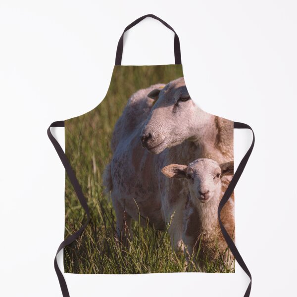 Item preview, Momma Protects designed and sold by Jim Love.