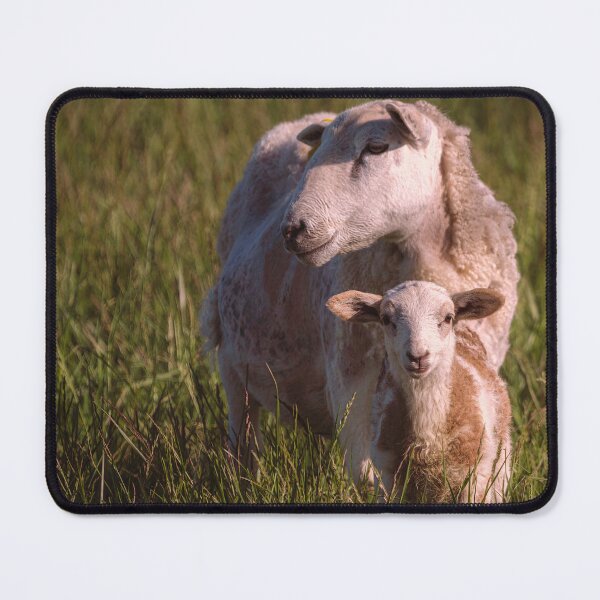 Item preview, Momma Protects designed and sold by Jim Love.