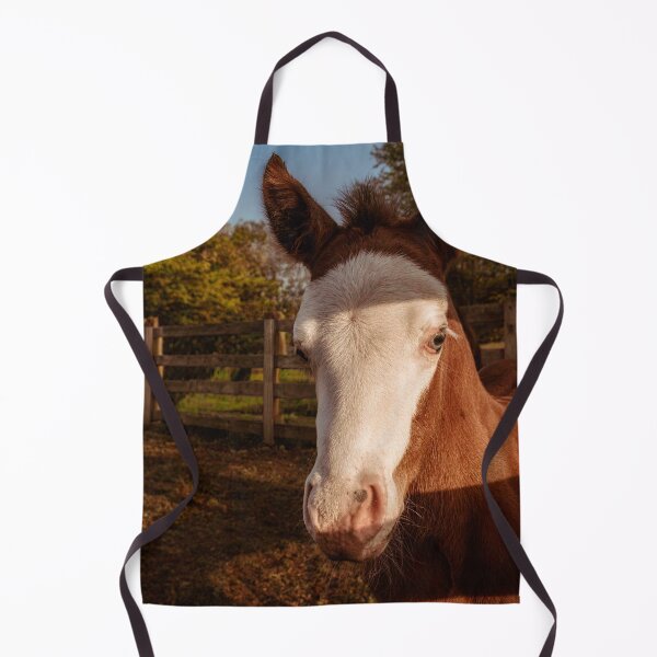 Item preview, Ransom designed and sold by Jim Love.