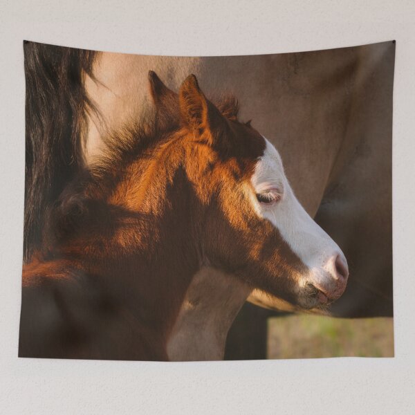 Item preview, At Momma's Side designed and sold by Jim Love.