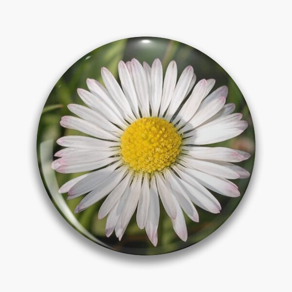 Item preview, Daisy  designed and sold by Layla’s Photography & Prints.