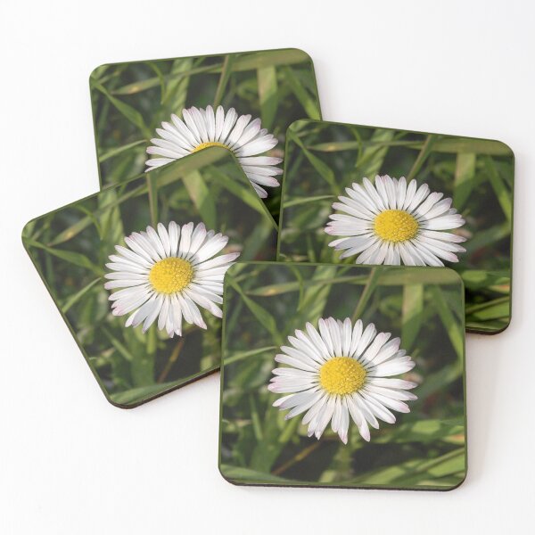 Item preview, Daisy  designed and sold by Layla’s Photography & Prints.