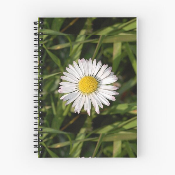 Item preview, Daisy  designed and sold by Layla’s Photography & Prints.