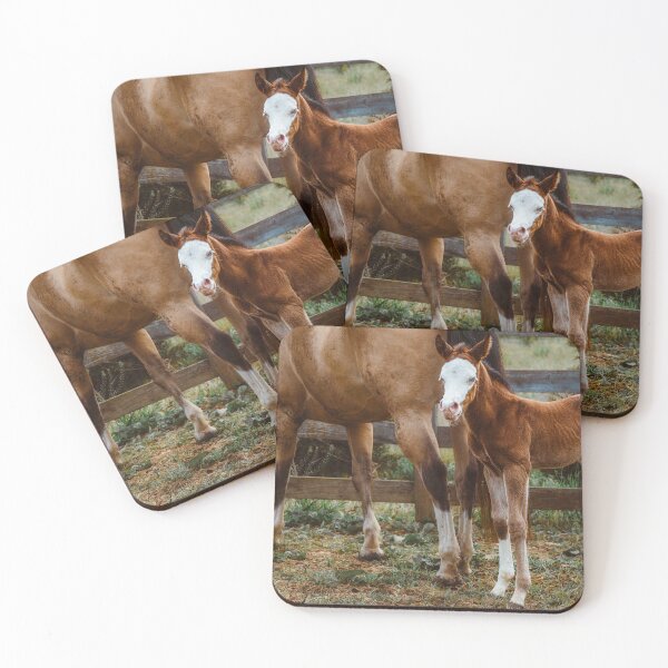 Item preview, Dalley And Ransom designed and sold by Jim Love.