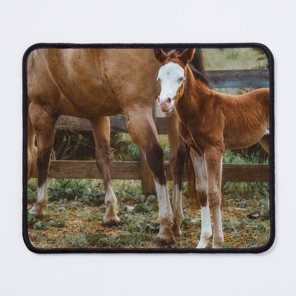 Item preview, Dalley And Ransom designed and sold by Jim Love.