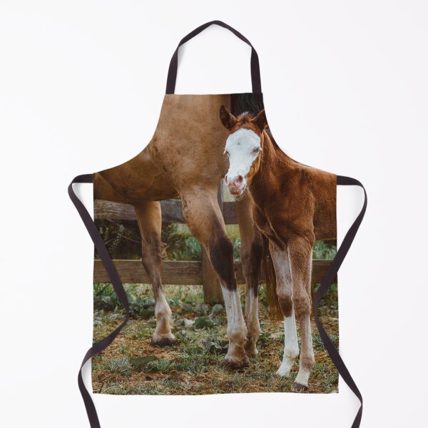 Item preview, Dalley And Ransom designed and sold by Jim Love.