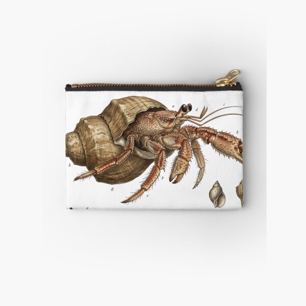 Item preview, Scientific Hermit Crab designed and sold by CuriousCurrents.