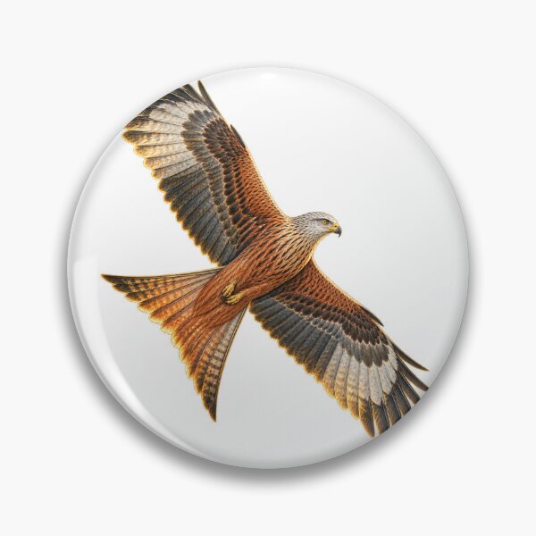 Item preview, Red Kite | Vintage Bird of Prey Botanical Art | Rewilding Conservation Gift designed and sold by Brackenlume Studio.