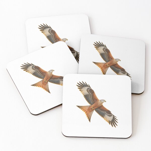 Item preview, Red Kite | Vintage Bird of Prey Botanical Art | Rewilding Conservation Gift designed and sold by Brackenlume Studio.