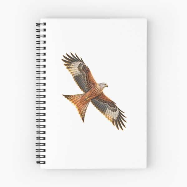 Item preview, Red Kite | Vintage Bird of Prey Botanical Art | Rewilding Conservation Gift designed and sold by Brackenlume Studio.