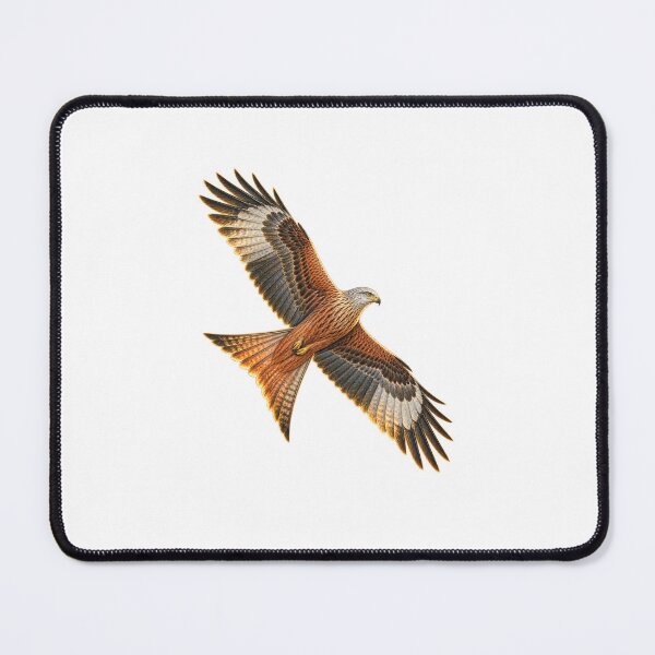 Item preview, Red Kite | Vintage Bird of Prey Botanical Art | Rewilding Conservation Gift designed and sold by Brackenlume Studio.