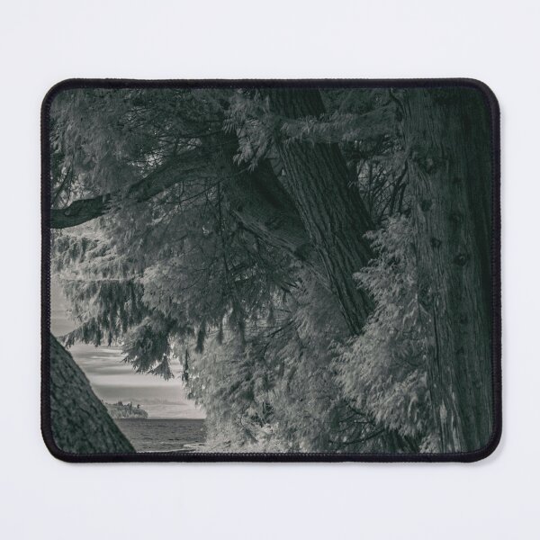 Item preview, three benches along the seawall designed and sold by jackson photografix.