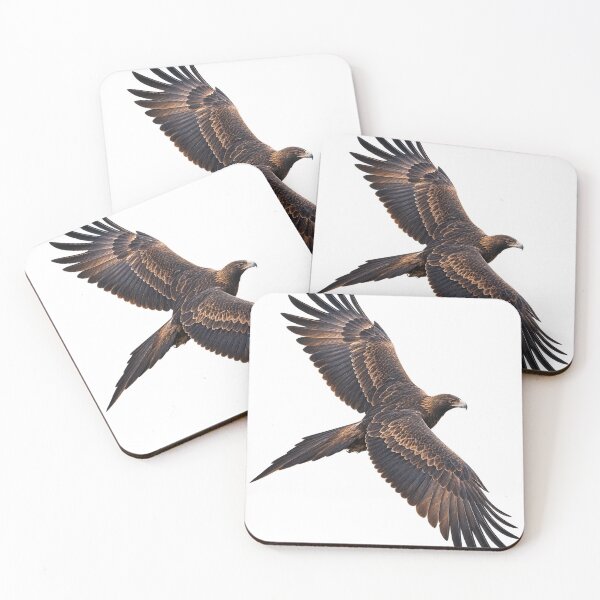 Item preview, Wedge-Tailed Eagle Soaring Over Australia designed and sold by Funnydesign4u.