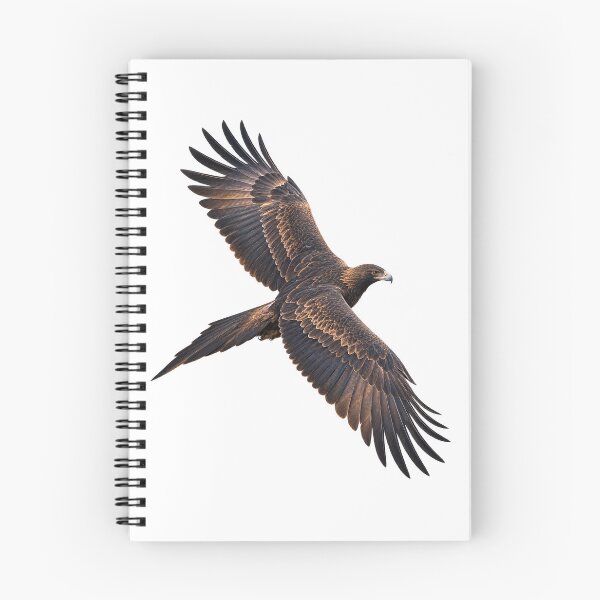 Item preview, Wedge-Tailed Eagle Soaring Over Australia designed and sold by Funnydesign4u.
