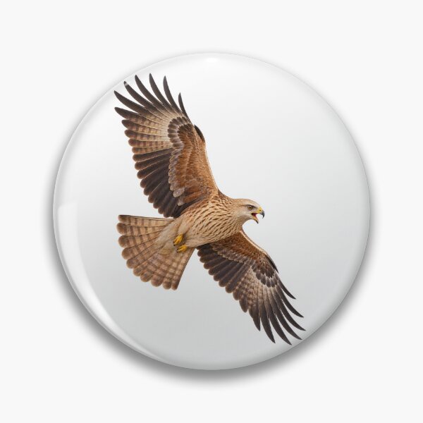 Item preview, Whistling Kite – Australian Raptor in Flight designed and sold by Funnydesign4u.