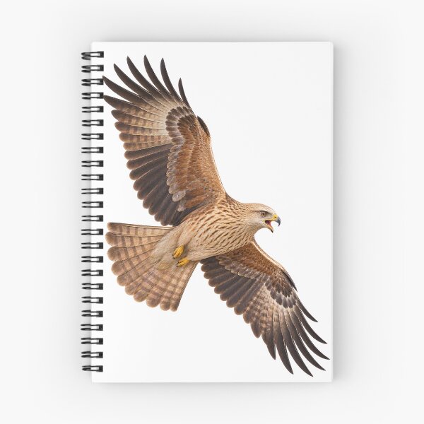 Item preview, Whistling Kite – Australian Raptor in Flight designed and sold by Funnydesign4u.