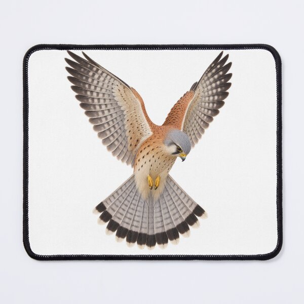 Item preview, Nankeen Kestrel Hovering – Australian Falcon designed and sold by Funnydesign4u.