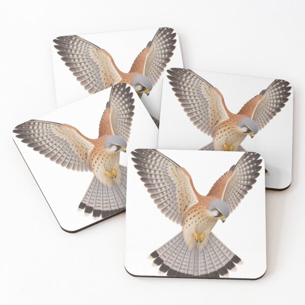 Item preview, Nankeen Kestrel Hovering – Australian Falcon designed and sold by Funnydesign4u.