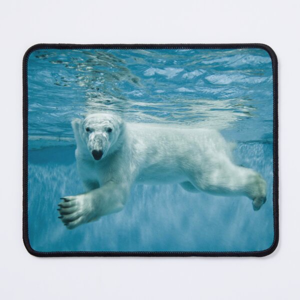 Item preview, swimming polar bear designed and sold by Polar-Laughs.