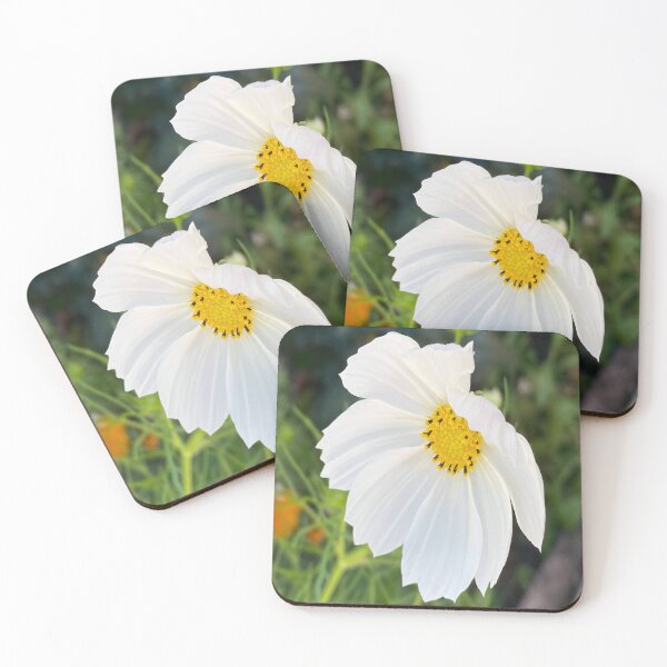 Item preview, Clean White Cosmos Flower Garden Photography designed and sold by BalkanBloomArt.