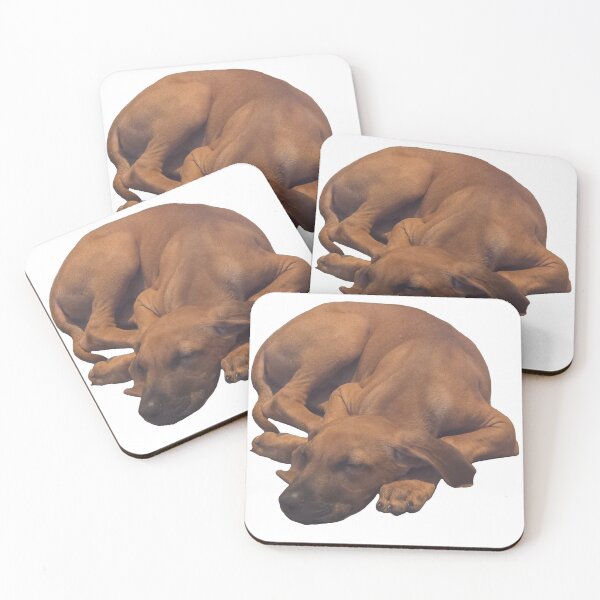 Item preview, Photo of my puppy Rhodesian Ridgeback / Black Lab / Golden Retriever  designed and sold by melmel58.
