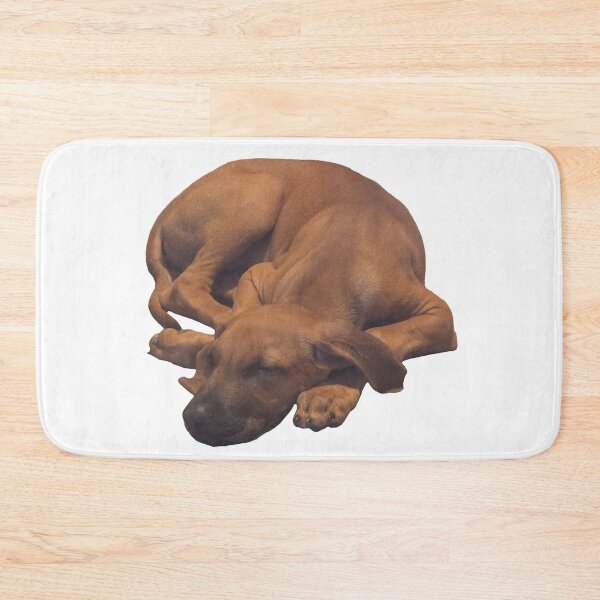 Item preview, Photo of my puppy Rhodesian Ridgeback / Black Lab / Golden Retriever  designed and sold by melmel58.
