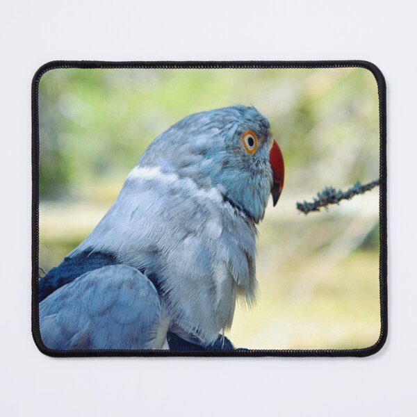 Item preview, Arizona designed and sold by Krameri Creations.