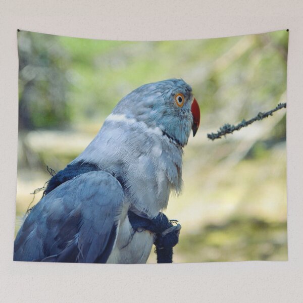 Item preview, Arizona designed and sold by Krameri Creations.