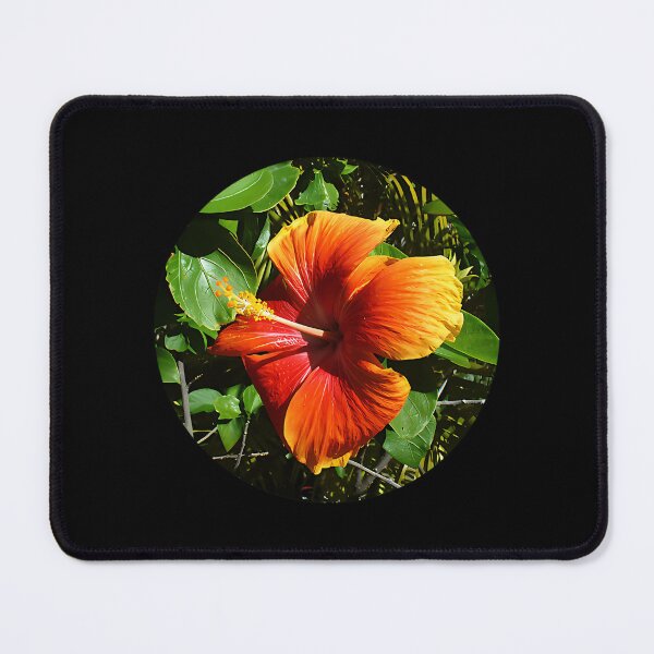 Item preview, Rarotongan Hibiscus designed and sold by LaveraRoper.