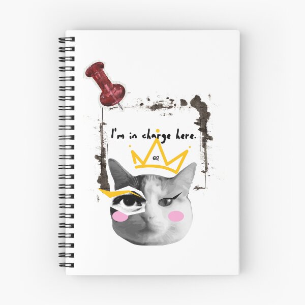 Item preview, I'm in charge here. designed and sold by re2m.