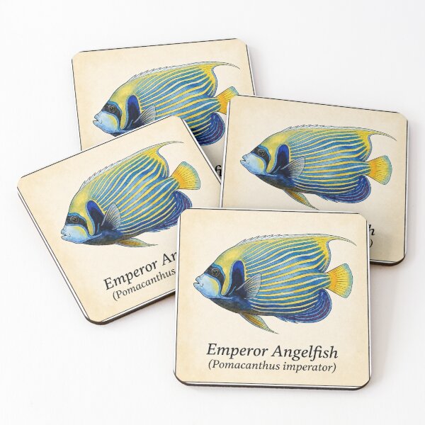 Item preview, Emperor Angelfish Vintage Marine Atlas Illustration designed and sold by KenworksDigital.