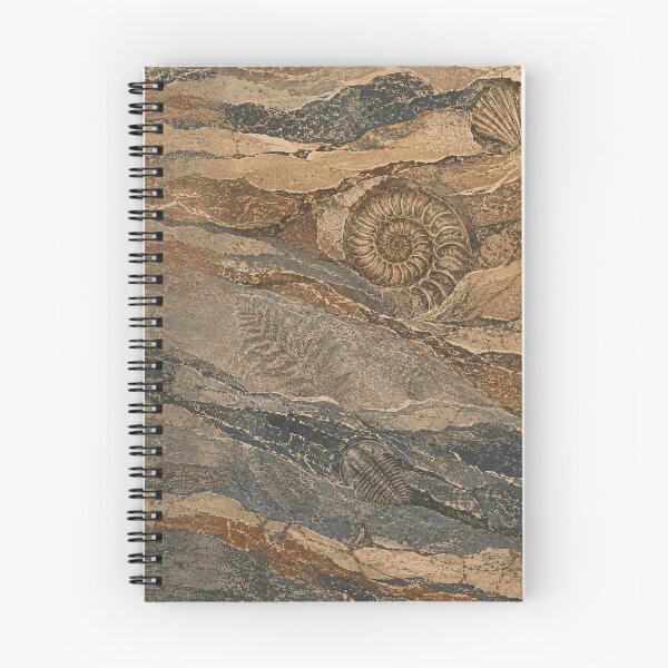 Item preview, Fossil Strata, Fossils in Ancient Rock Layers designed and sold by VelvetClawStudio.
