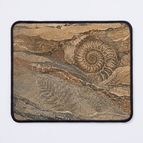 Item preview, Fossil Strata, Fossils in Ancient Rock Layers designed and sold by VelvetClawStudio.