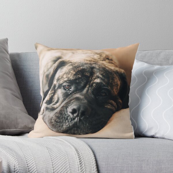 Presley Throw Pillow